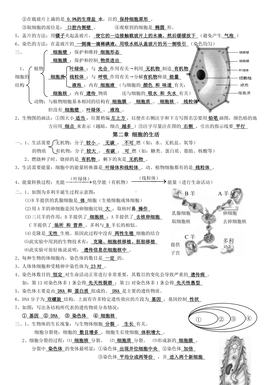 人教版七年级上册生物知识点归纳.doc_第3页