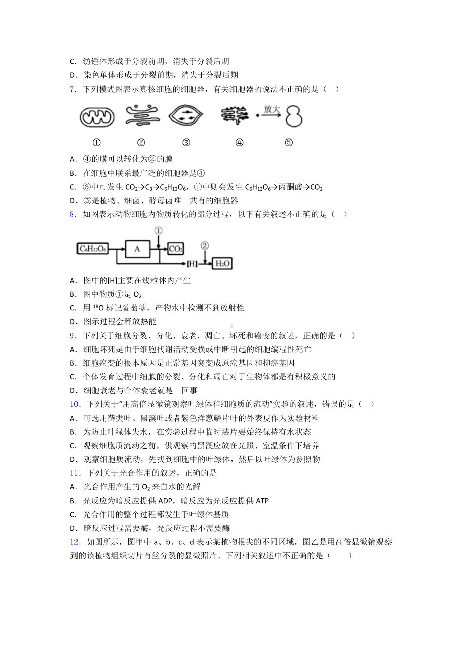 人教版-高中生物必修一测试题附答案.doc_第2页