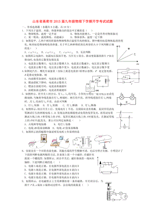 九年级物理下学期开学考试试题鲁教版.doc