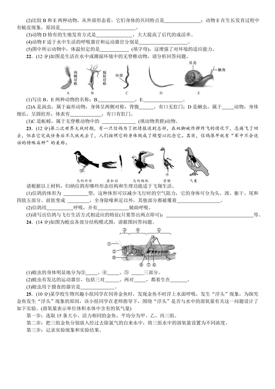 人教版八年级生物上册：《动物的主要类群》检测试题.doc_第3页