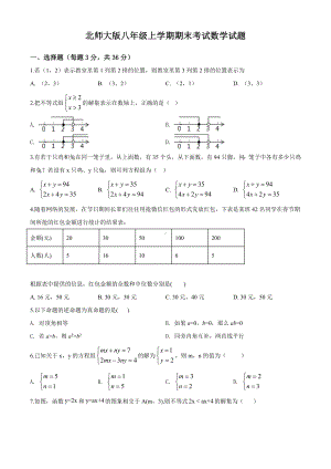 （北师大版）八年级上册数学《期末考试卷》含答案解析.doc