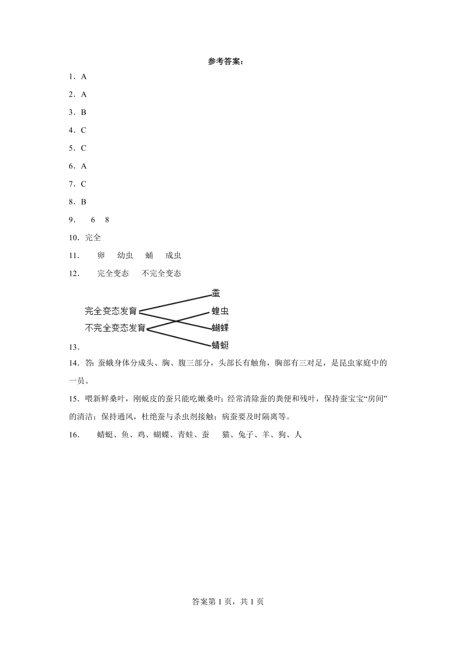 2023新湘科版四年级下册《科学》第二单元 动物的一生 同步练习（含答案）.docx_第3页