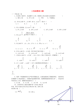 中考数学知识点-三角函数专题专练-三角函数精选练习题.doc