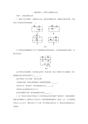 人教版九年级物理全册第十八章-电功率-专题训练(五)-特殊方法测量电功率.doc