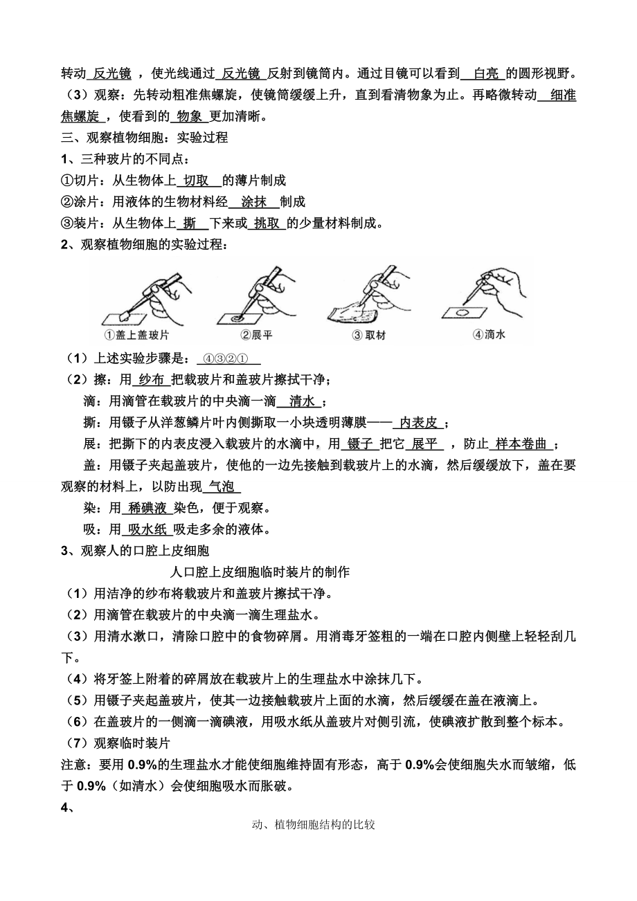 七年级上册生物期中复习知识点.doc_第3页