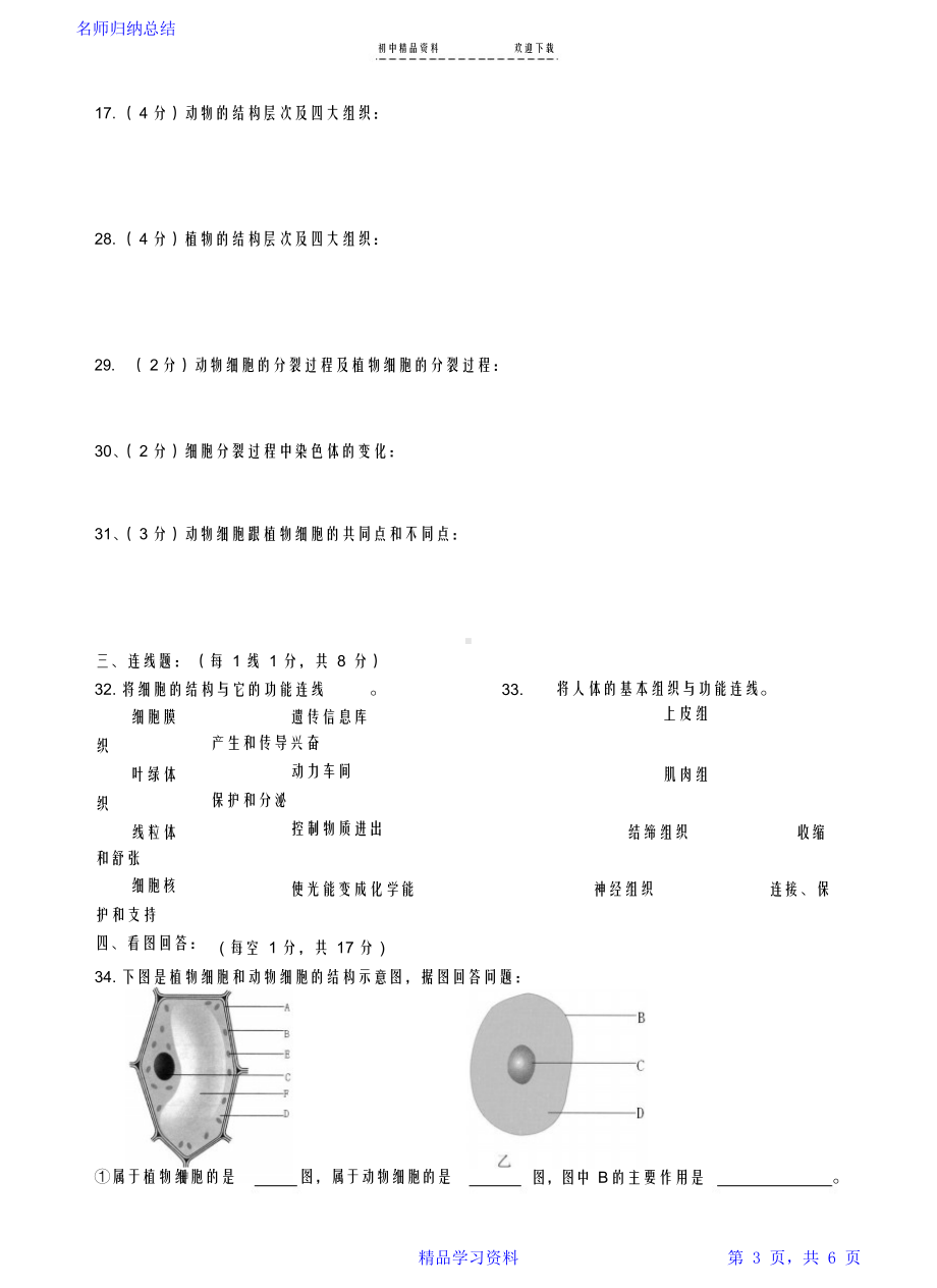 七年级生物上册期中考试试卷(附答案).docx_第3页