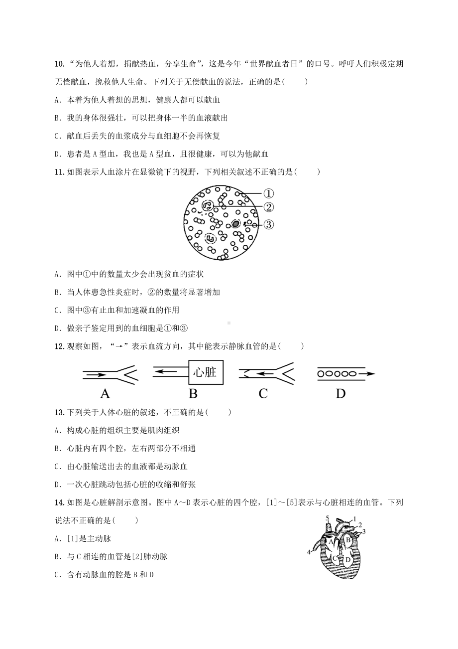 人教版七年级生物下册-第四章-人体内物质的运输检测试试题(含答案).docx_第3页