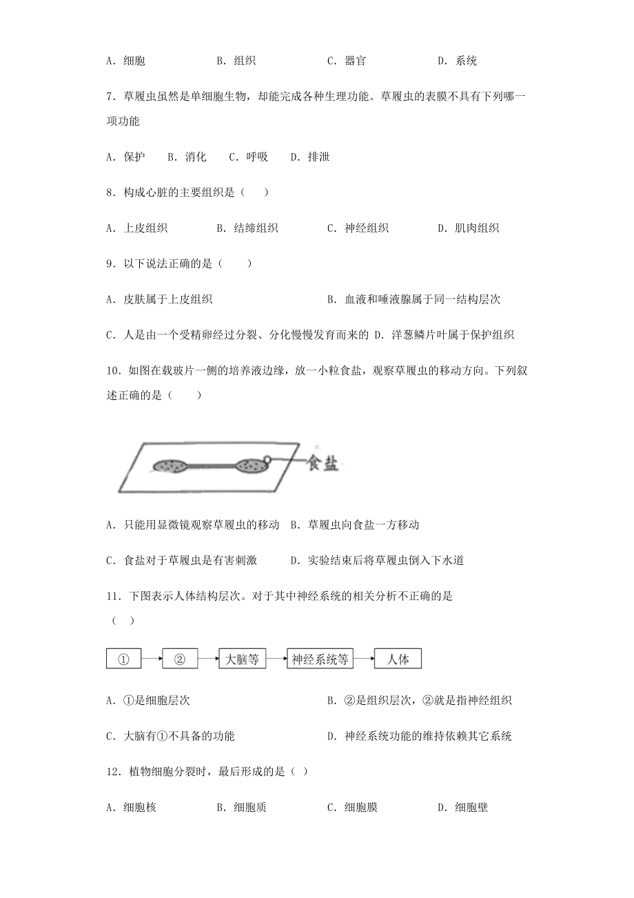 人教版生物七年级上第二单元第二章《细胞怎样构成生物体》测试题(含答案).docx_第2页