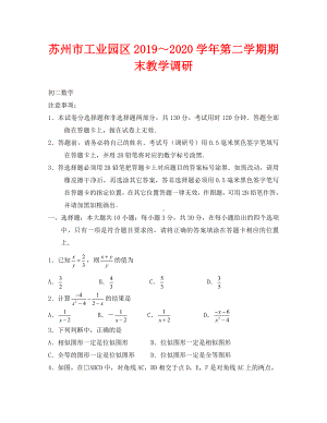 2020年苏州市园区初二数学下册下册期末试卷.doc