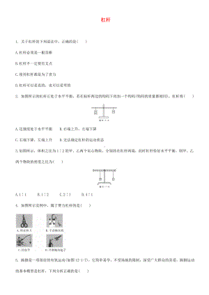 2020中考物理-杠杆专题复习练习题.doc