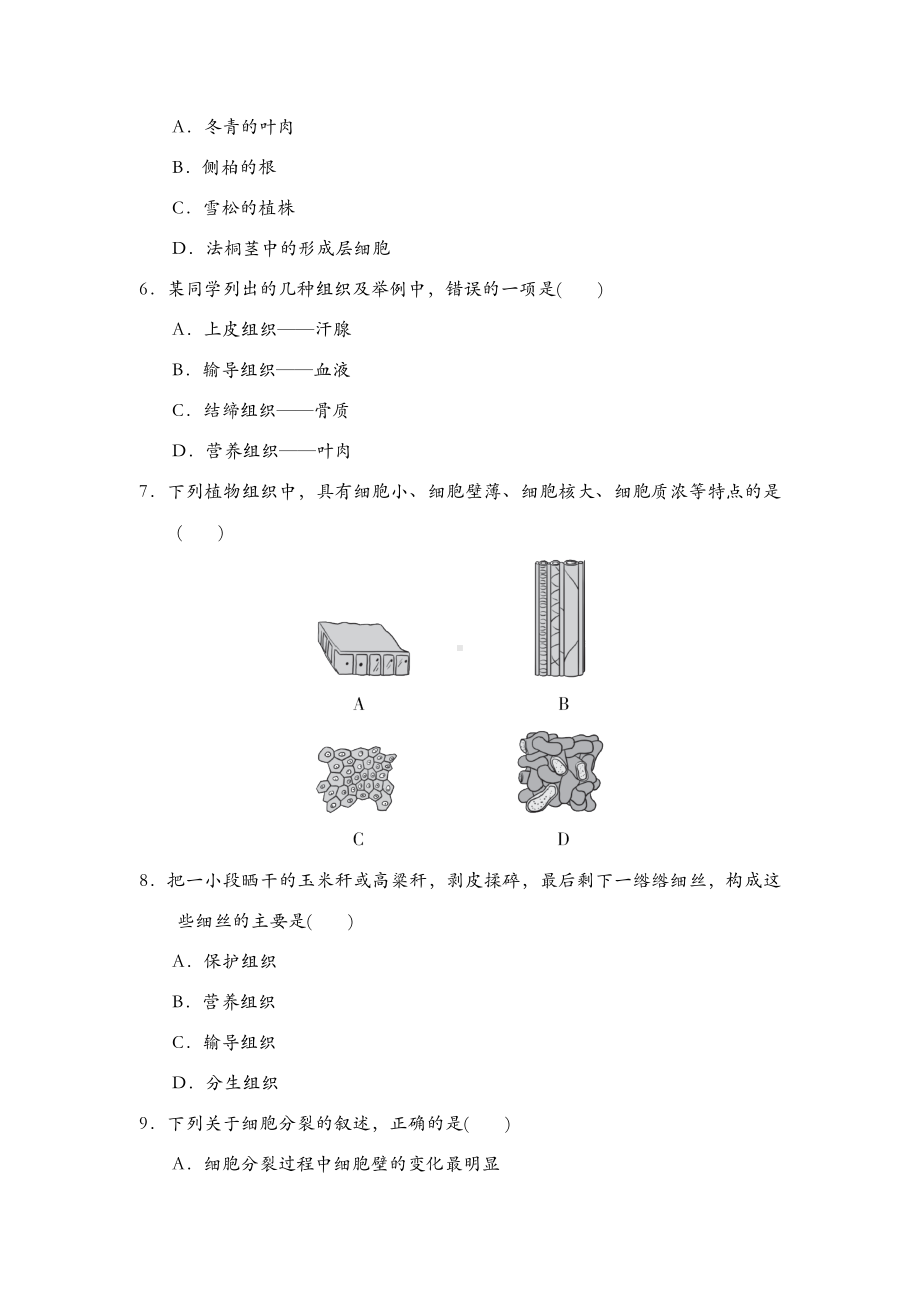 人教版七年级上册生物第二单元第二章单元测试卷.doc_第2页