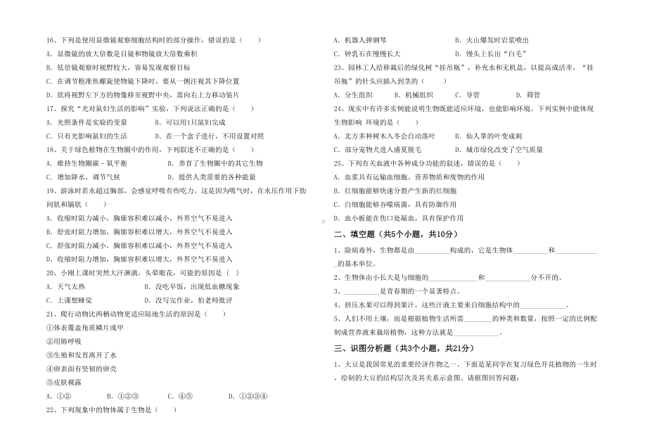 七年级生物下册期末试卷(汇总).doc_第2页