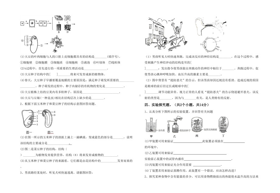 七年级生物下册期末试卷(汇总).doc_第3页