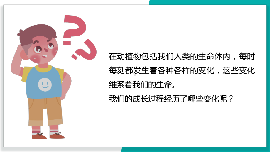 4.6生命体中的化学变化 ppt课件(共23张PPT)-2023新教科版六年级下册《科学》.pptx_第2页