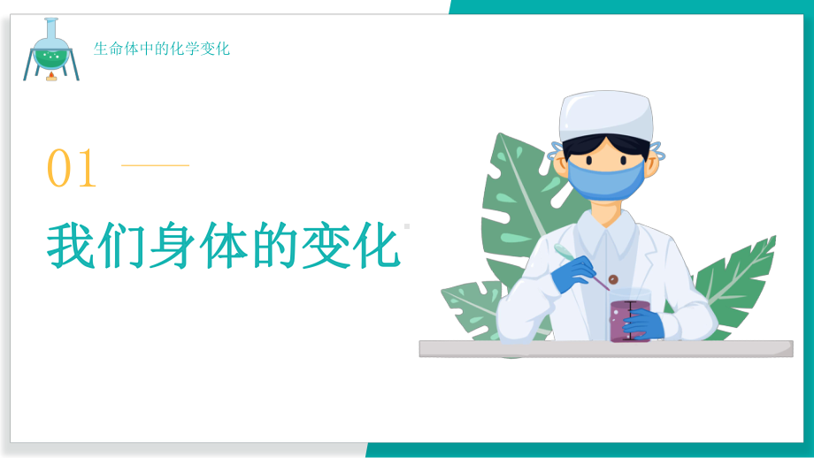 4.6生命体中的化学变化 ppt课件(共23张PPT)-2023新教科版六年级下册《科学》.pptx_第3页