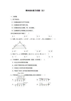 人教版七年级数学下册期末综合复习试题(五)(含答案).doc