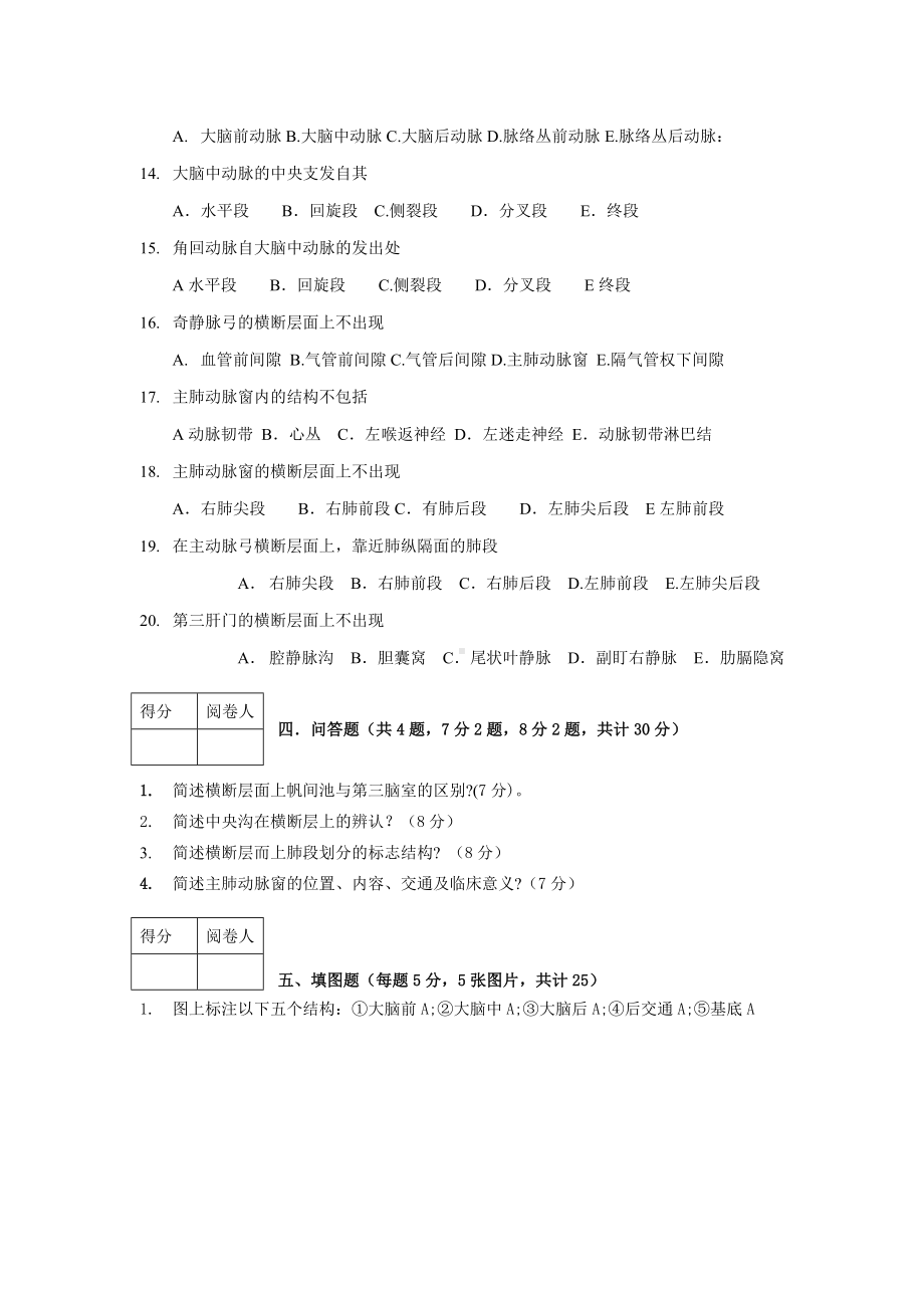 《-断层解剖学》试题.doc_第3页