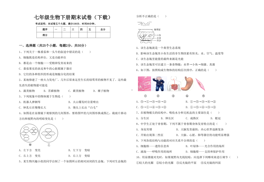 七年级生物下册期末试卷().doc_第1页