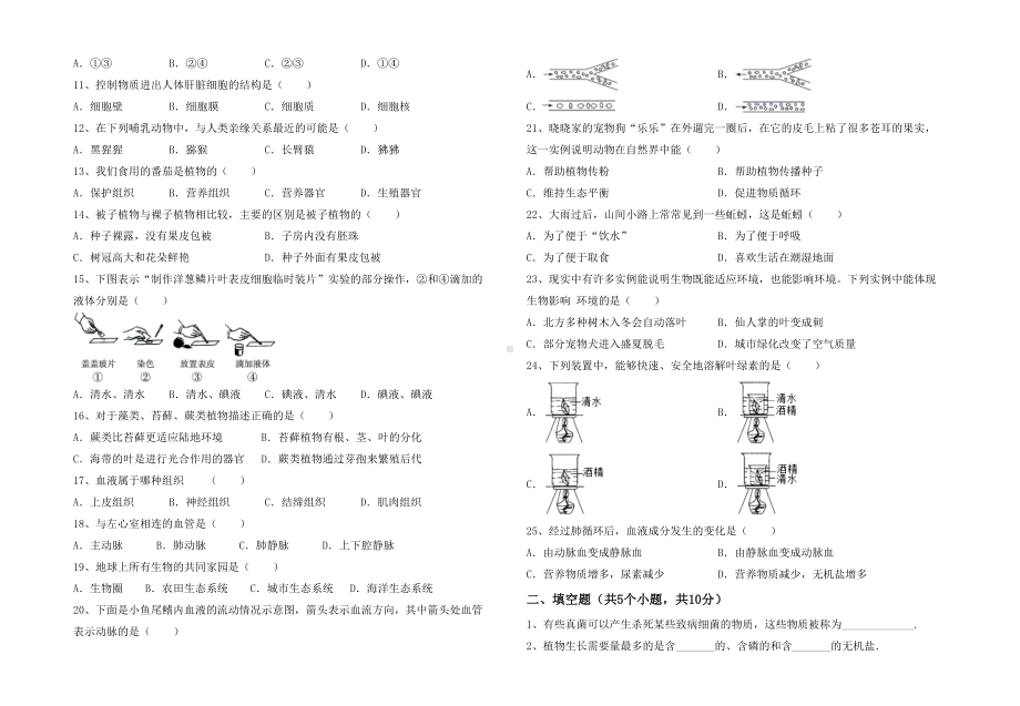 七年级生物下册期末试卷().doc_第2页