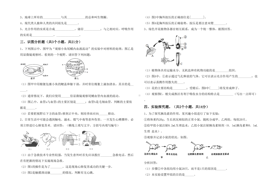 七年级生物下册期末试卷().doc_第3页