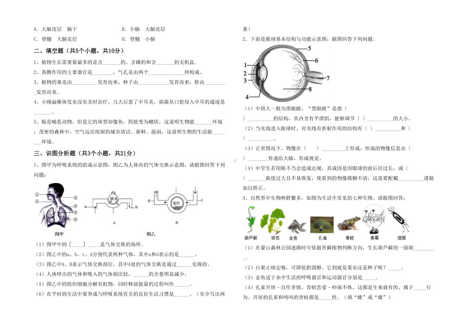 人教版七年级下册《生物》期末考试卷及答案（完整）.doc_第3页