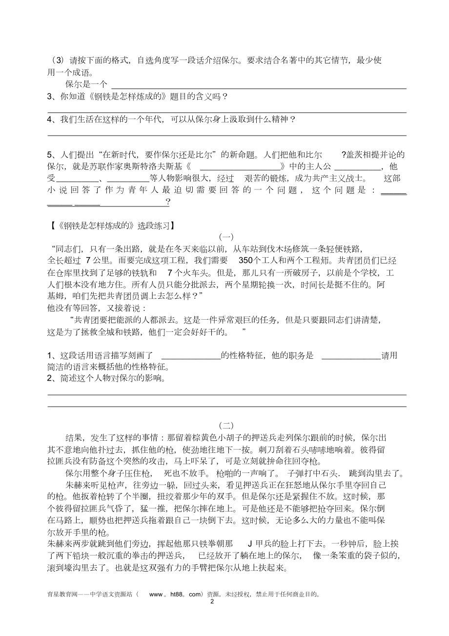 《钢铁是怎样炼成的》中考名著导读及考点训练习题.doc_第2页