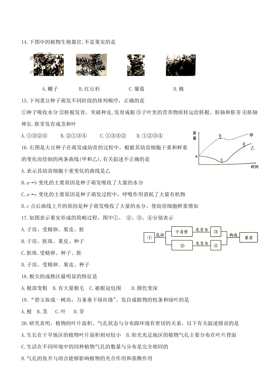 2019秋人教版七年级上册生物期末试卷(含答案).doc_第3页