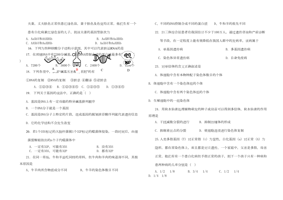 人教版-高中生物必修二期末试题.doc_第3页