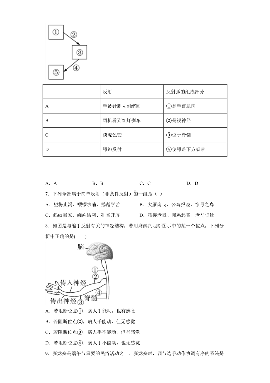 （七下）北京七年级生物神经系统综合测试题.docx_第2页