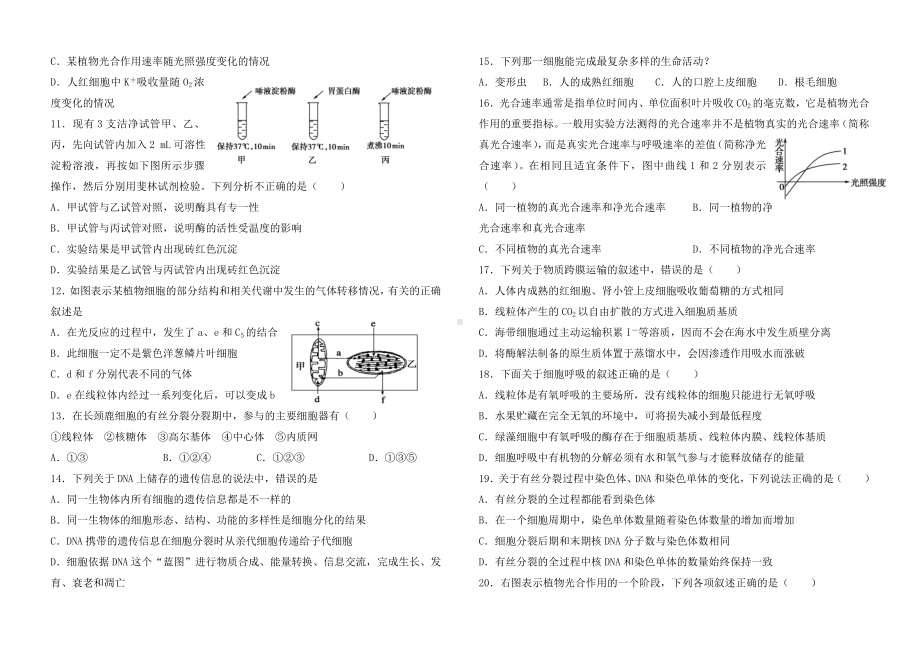 人教版高中生物必修一期末试题(附答案)非常超值.doc_第2页