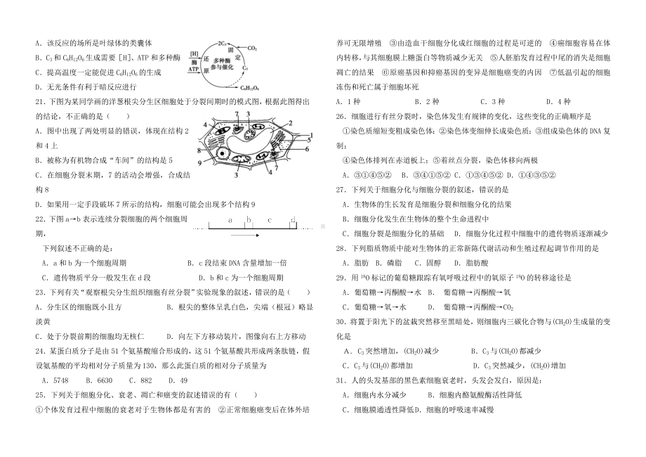 人教版高中生物必修一期末试题(附答案)非常超值.doc_第3页