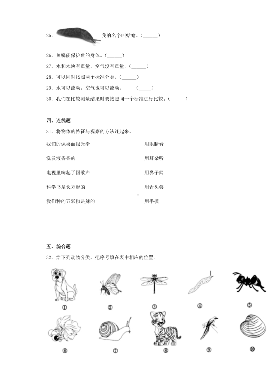 （科教版）一年级下册科学《期末考试卷》(含答案).doc_第3页