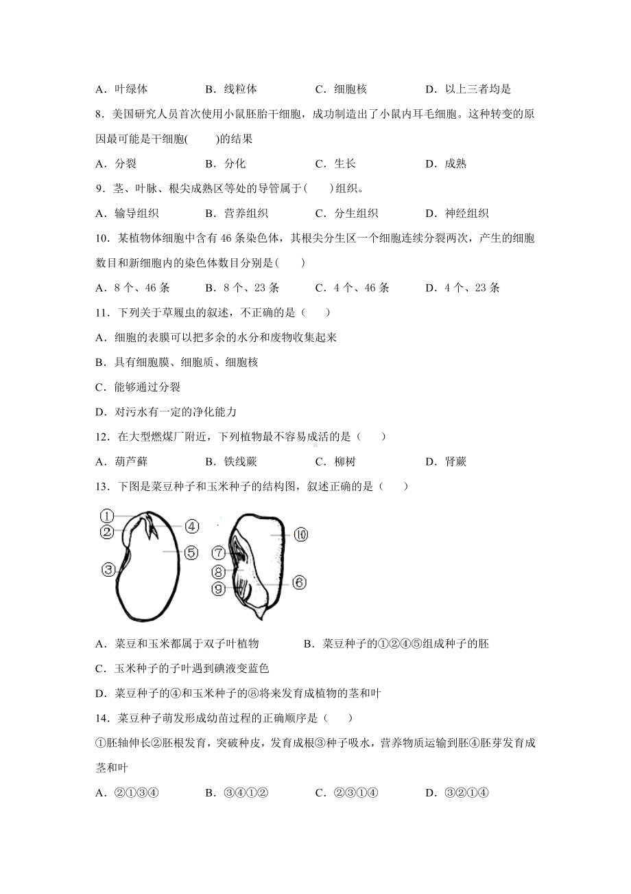 七年级上册生物期末考试试卷附答案.docx_第2页