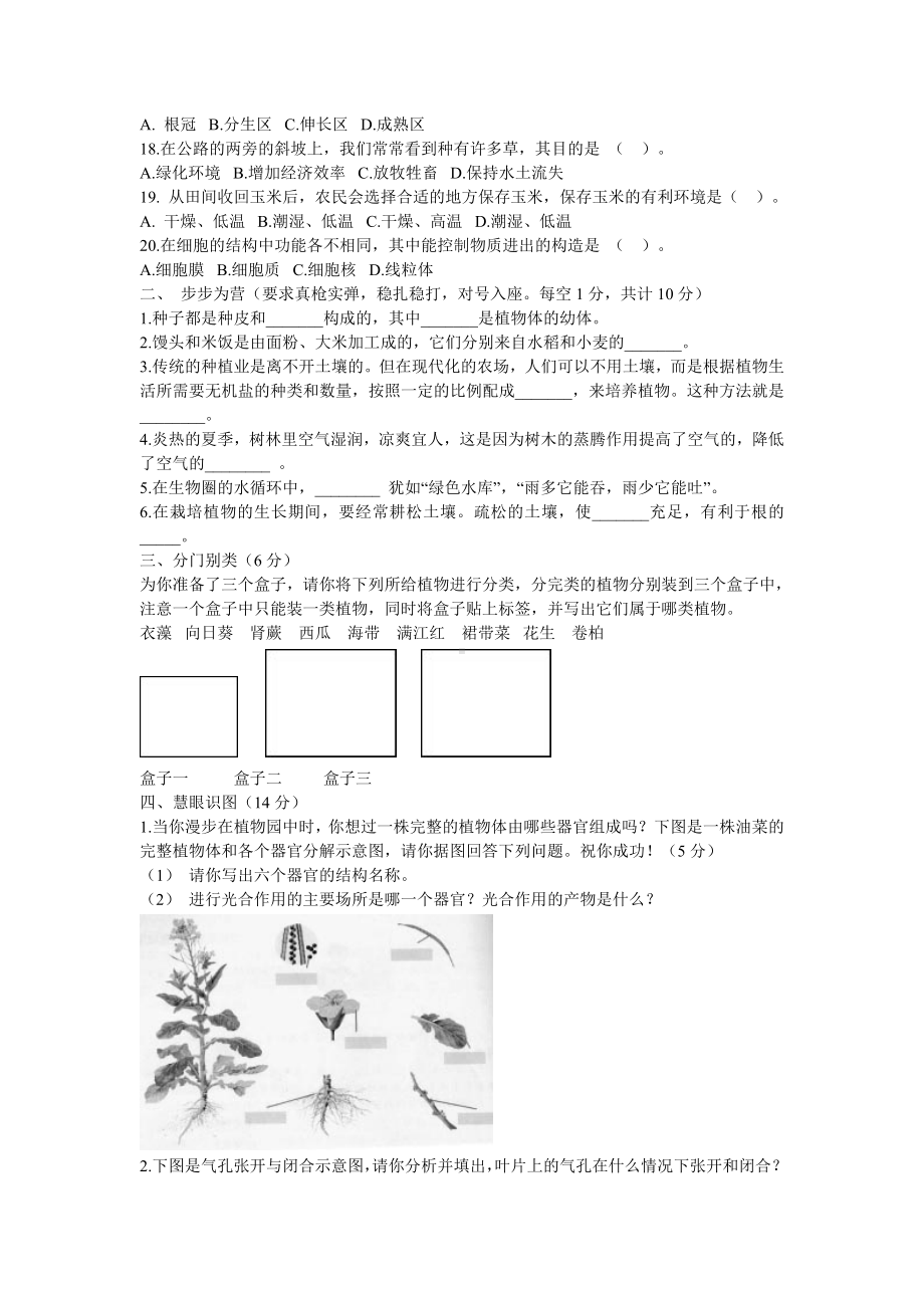 人教版生物七年级上册期末考试试题附答案.doc_第2页