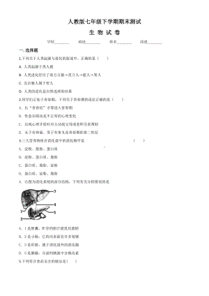 人教版七年级下册生物《期末考试卷》-附答案.doc