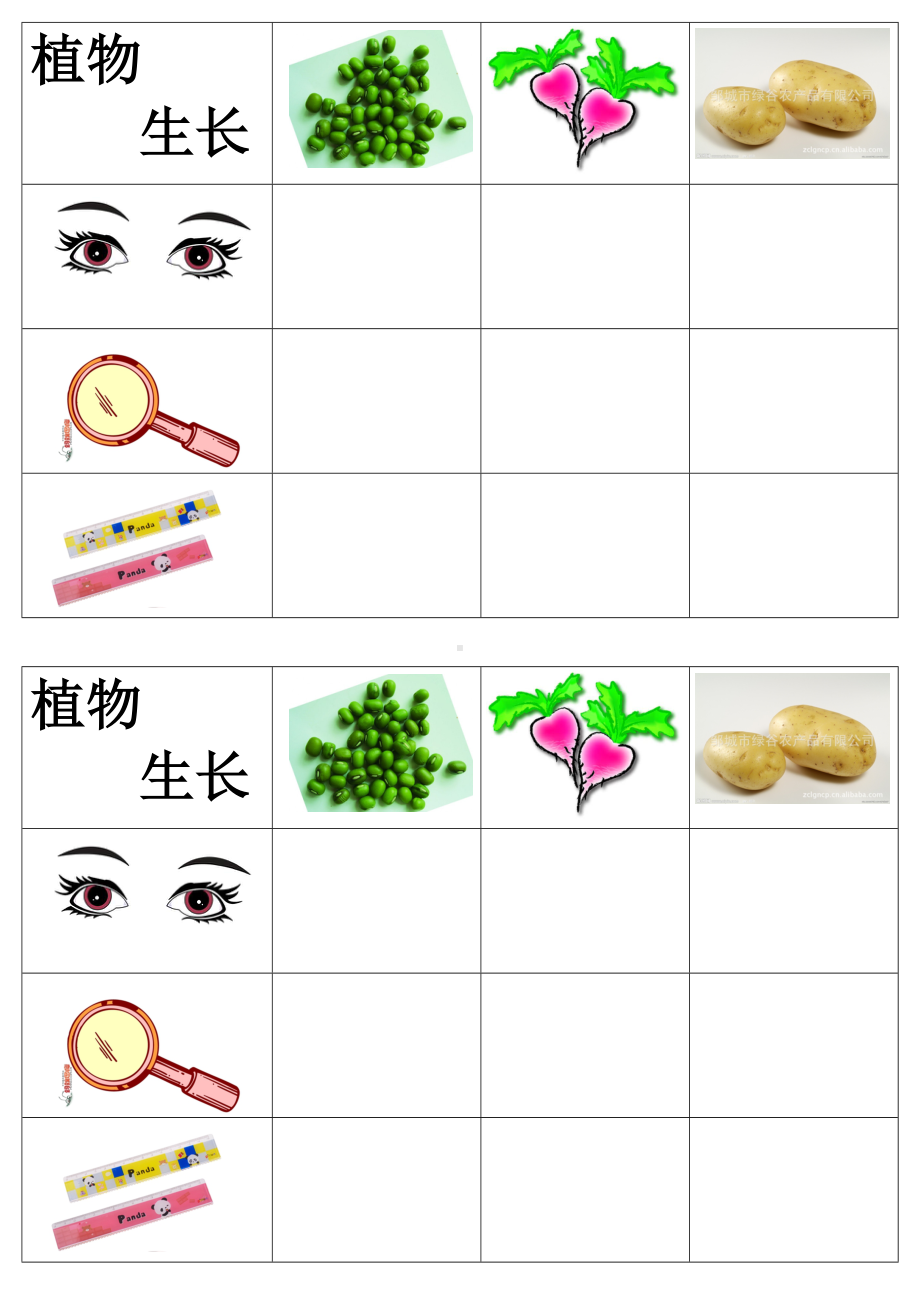 植物生长调查表.doc_第1页