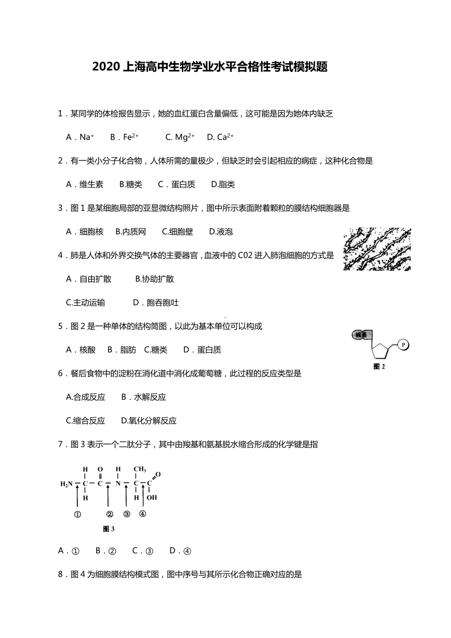 2020上海高中生物学业水平合格性考试模拟题.doc_第1页