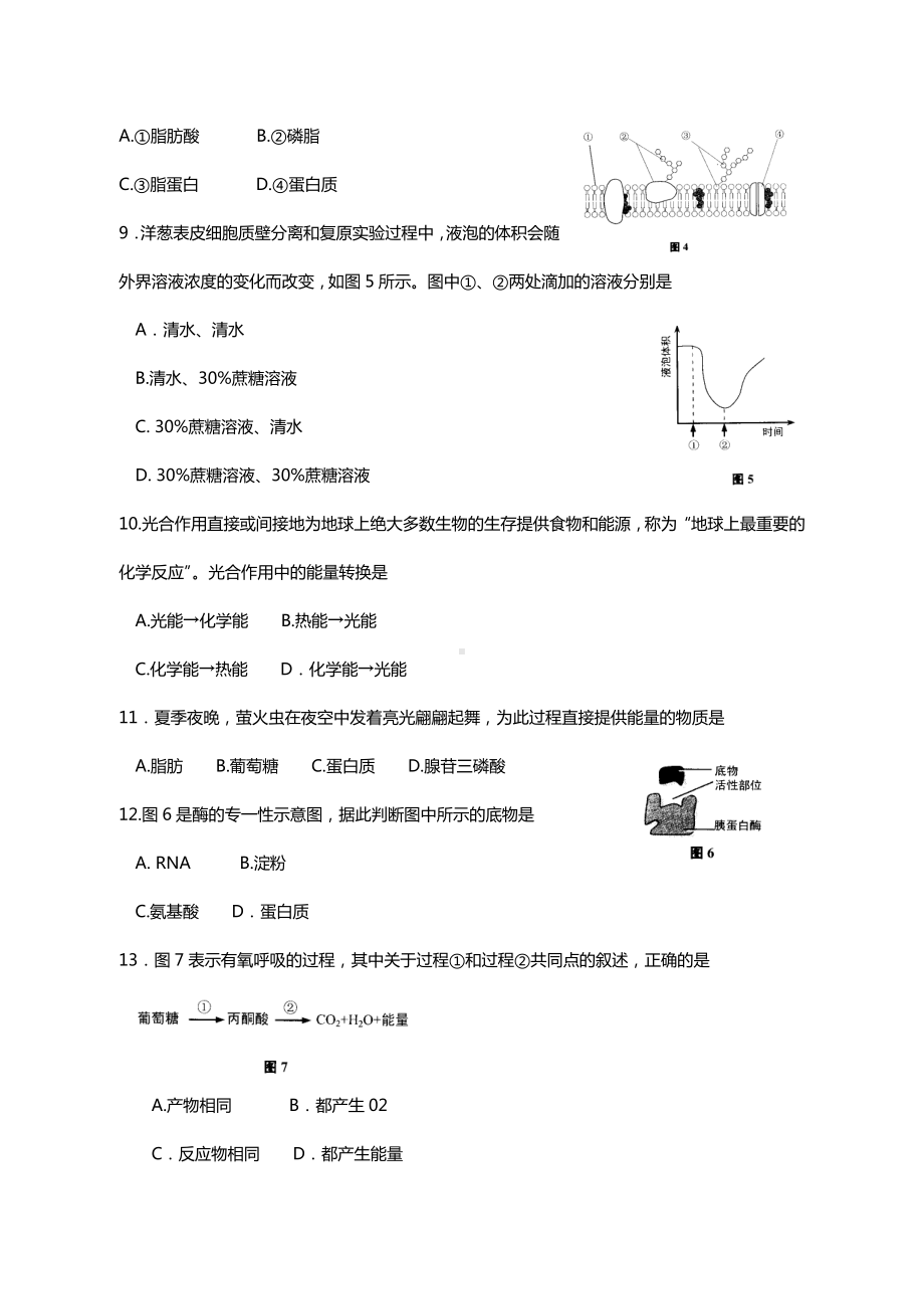 2020上海高中生物学业水平合格性考试模拟题.doc_第2页