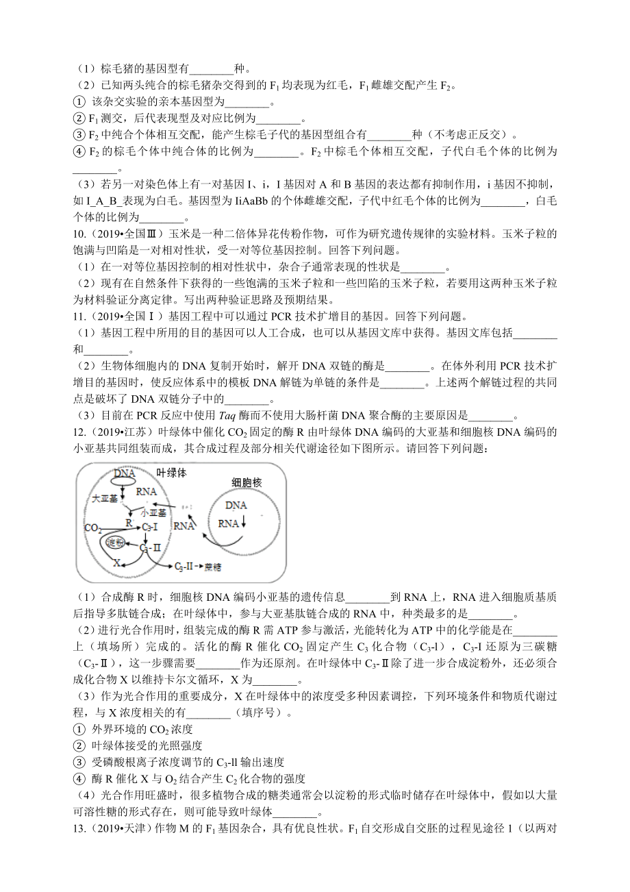 2019年高考生物真题分类汇编专题04：遗传的分子基础与规律.doc_第3页