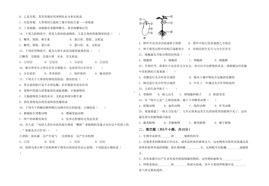 七年级生物下册期末试卷及答案（汇总）.doc_第2页