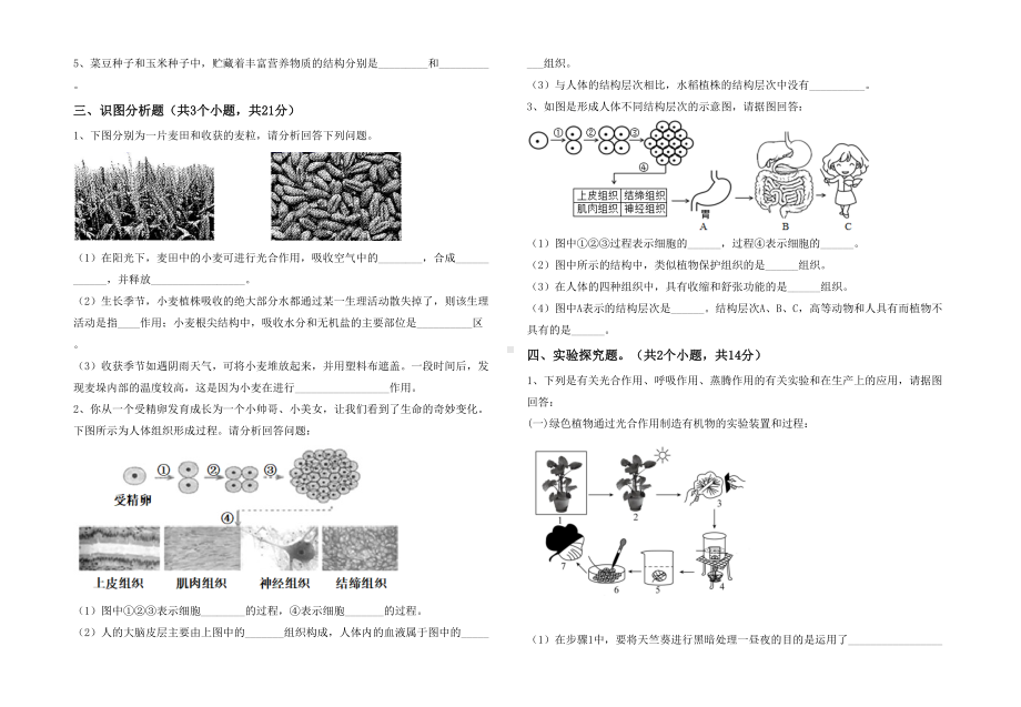 七年级生物下册期末试卷及答案（汇总）.doc_第3页