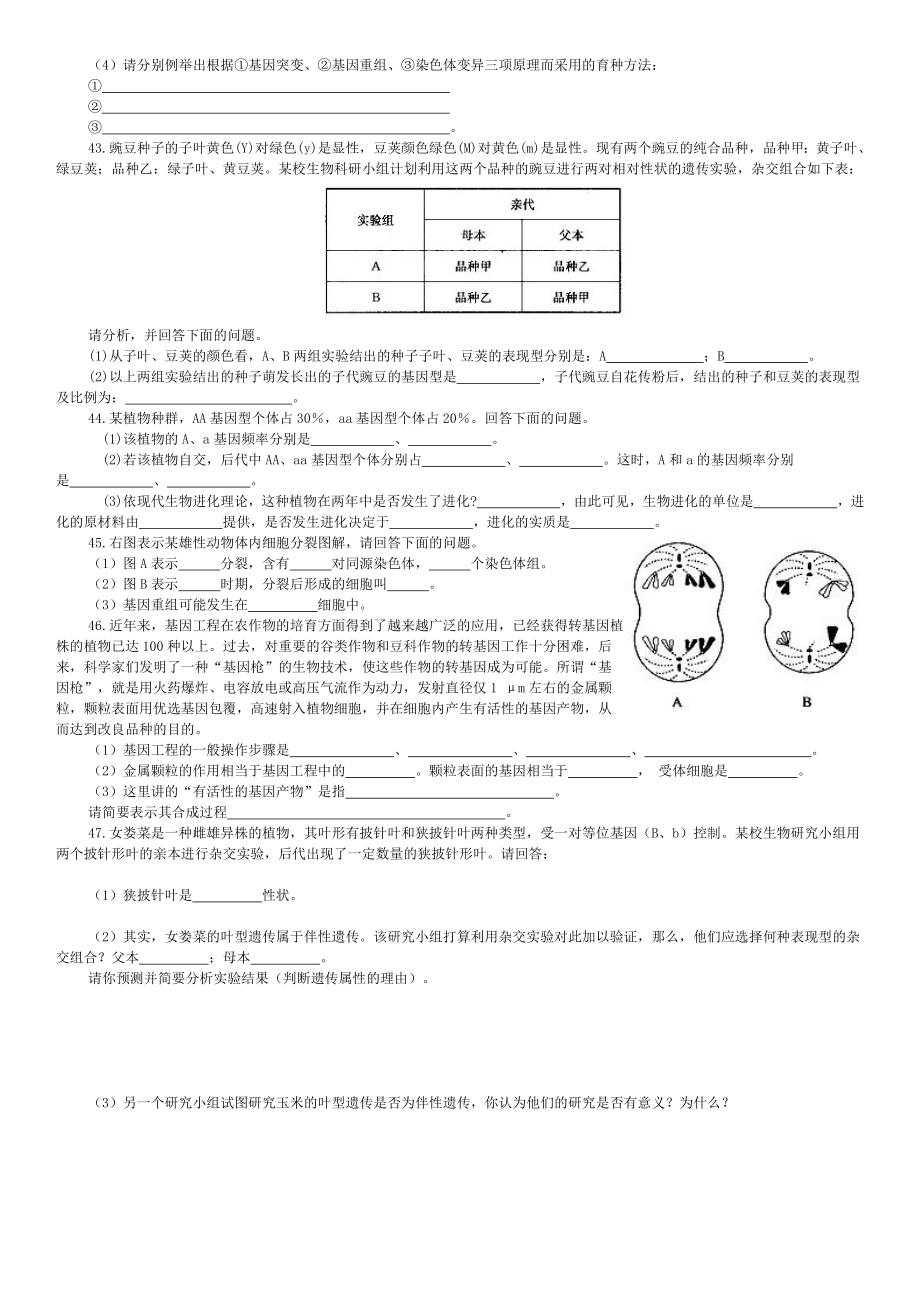 (完整版)高中生物必修二练习题.doc_第3页