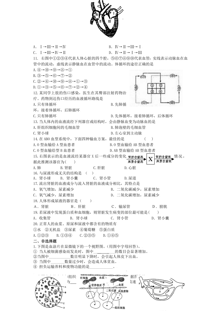 2020年春济南版七年级生物下册期末模拟试题(含答案).doc_第2页