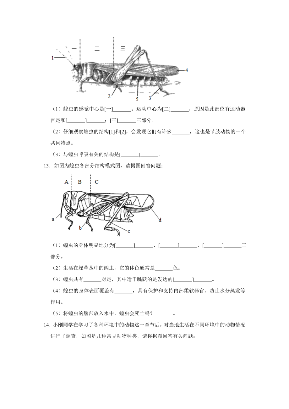 人教版生物八年级上册-第一章-动物的主要类群-复习题(包含答案).doc_第3页