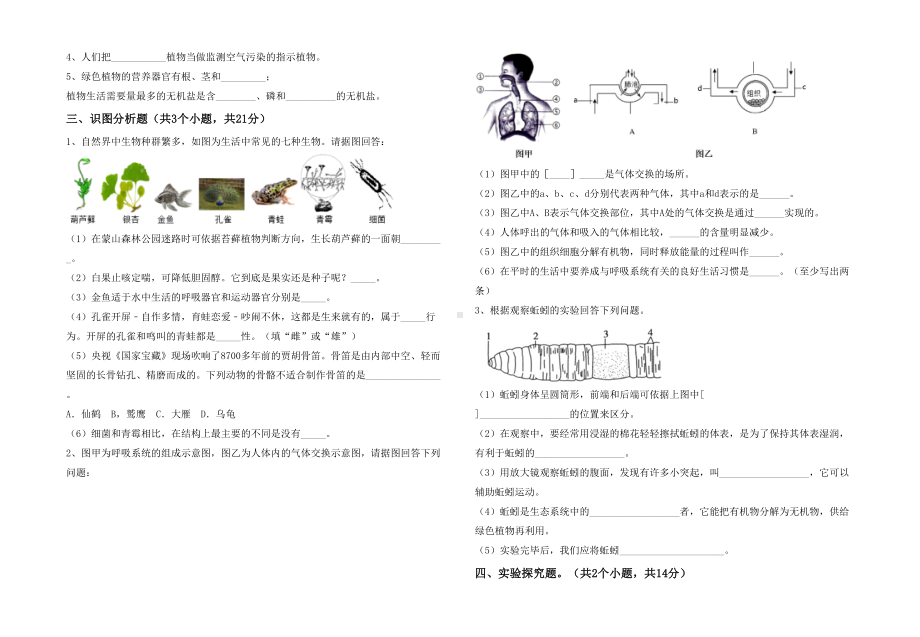 2021新苏教版七年级下册《生物》期末考试卷(完整版).doc_第3页