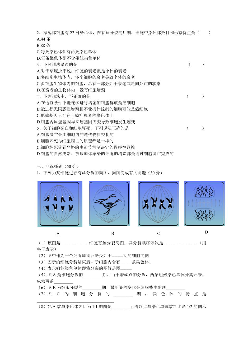 (完整版)有丝分裂测试题及答案.doc_第3页