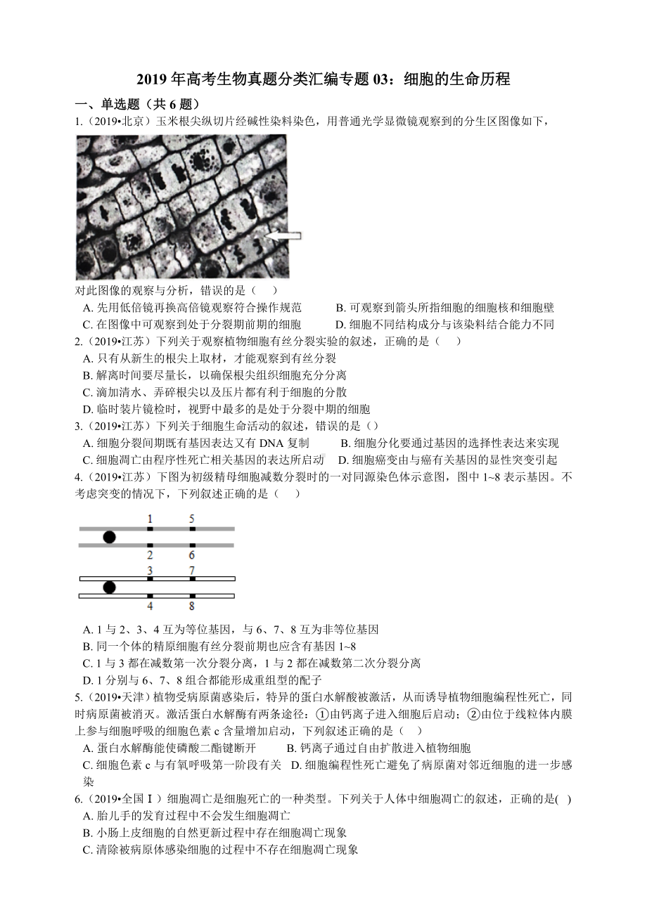 2019年高考生物真题分类汇编专题03：细胞的生命历程.doc_第1页