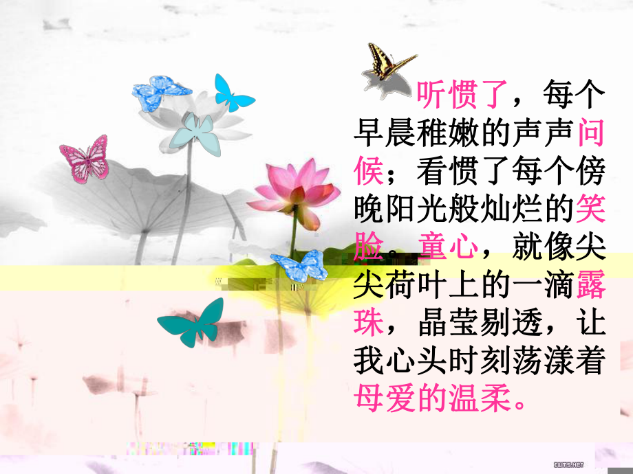 我们毕业了 (2).ppt_第2页