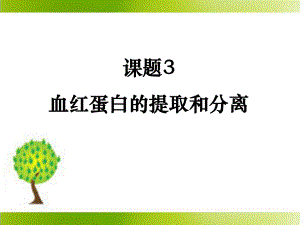 53《血红蛋白的提取和分离》参考课件.ppt