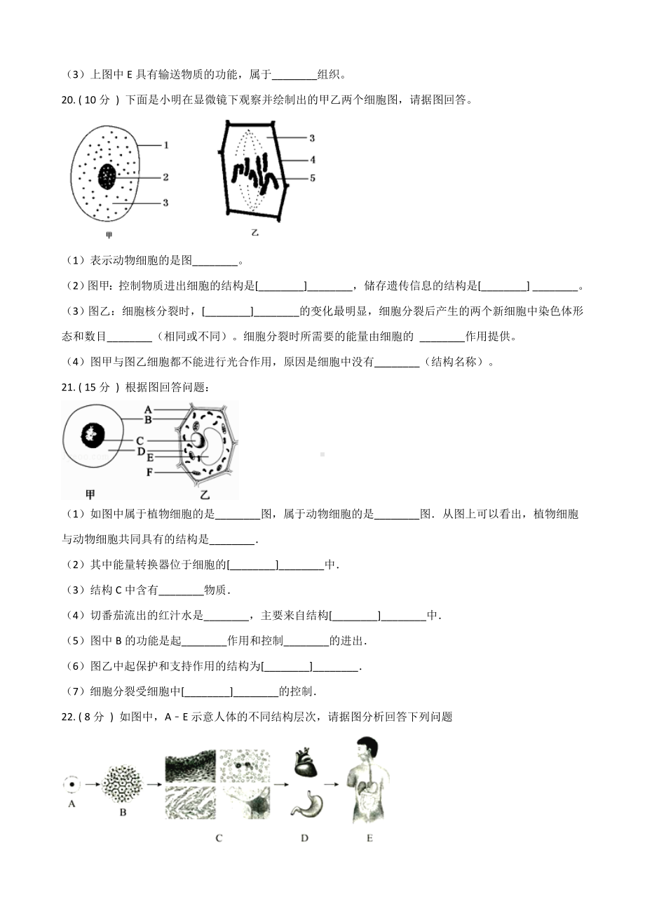 京改版七年级上册生物-第三章-生物体的结构-练习题(无答案).doc_第3页